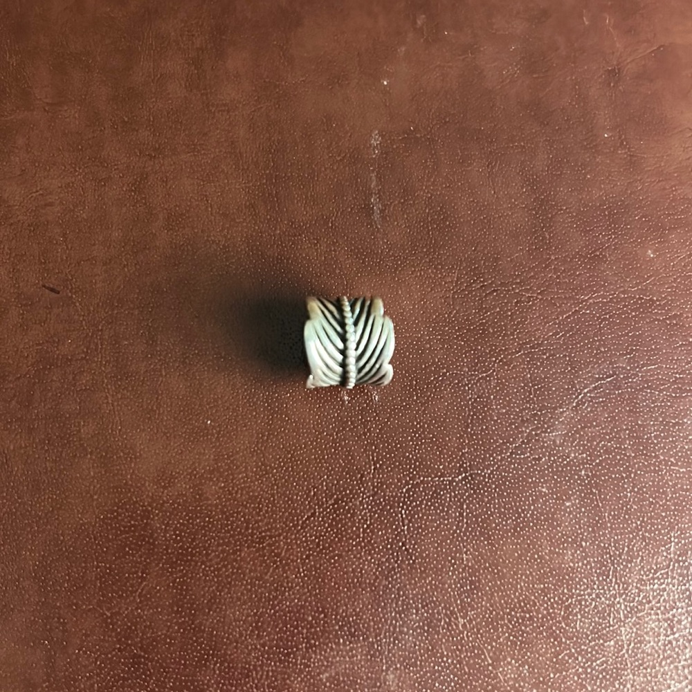 Pandora charm